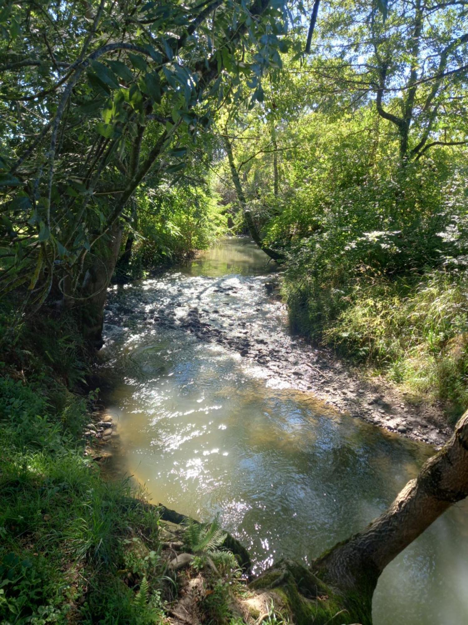 CampuzanL'Oasis Des Pyrenees别墅 外观 照片